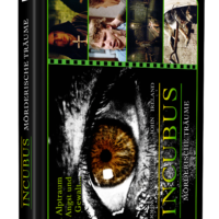 INCUBUS - 2 Disc-Original Medienbuch - Cover D - Limitiert auf 111 Stück