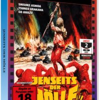 JENSEITS DER HÖLLE - HELDENKAMPF DER PANZERJÄGER - 2 Disc Scanavo Edition mit Booklet und Vollformat-Wendecover - Cover 4 - Limitiert auf 100 Stück